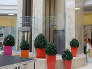 Цельностеклянное ограждение лифта